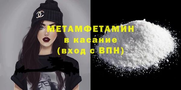прущие грибы Наволоки