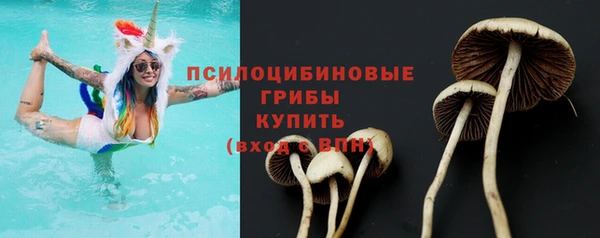 apvp Анжеро-Судженск