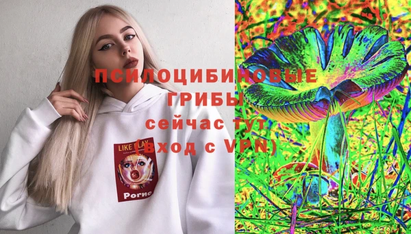 прущие грибы Алзамай