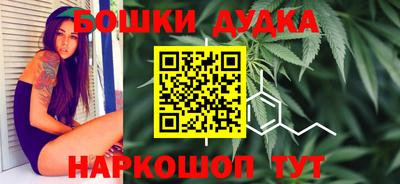 гашик Аргун