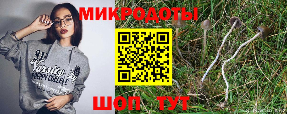 закладки  Балабаново  Псилоцибиновые грибы Cubensis 