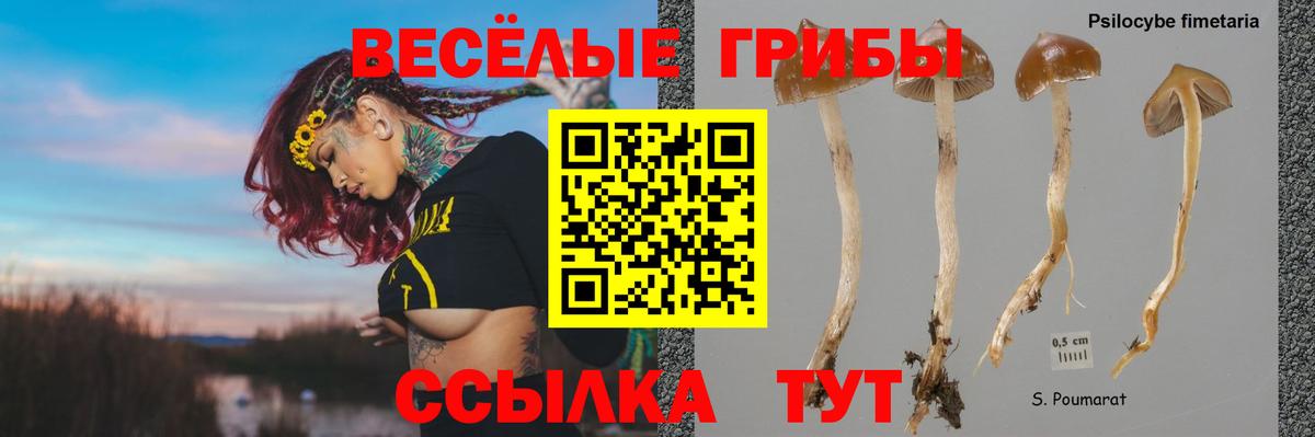 Галлюциногенные грибы мицелий Балабаново
